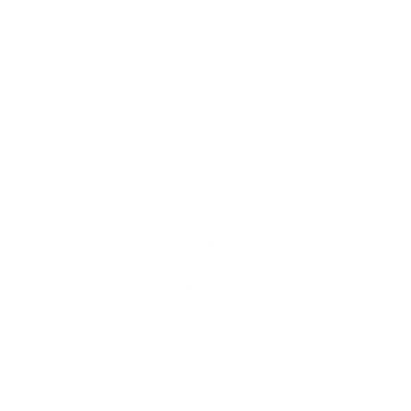 AFOM Asylum